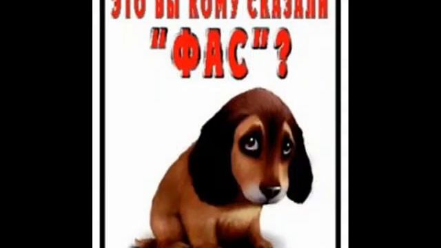 собака бывает кусачей..wmv смотреть онлайн