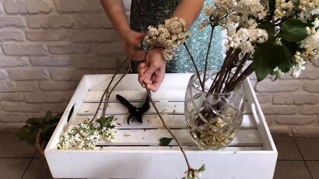 Как сохранить свежесть сирени ? смотреть онлайн