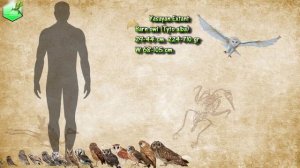 Owl Species Size Comparison [LIVING EXTINCT]