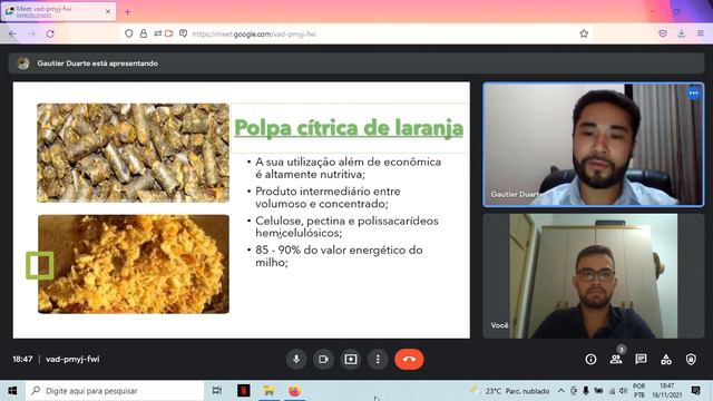 Seminario de Alimentação animal- grupo Gustavo Barbosa e Gautier Marc Duarte смотреть онлайн
