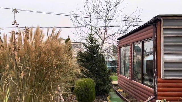 Купила Хвойные новинки в коллекцию 🌲🌲🌲 смотреть онлайн