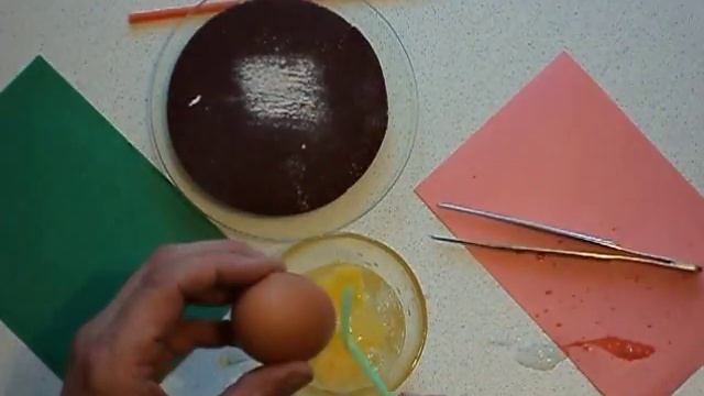 Как сделать круглое отверстие в скорлупе яйца. Бонус - яичница! смотреть онлайн