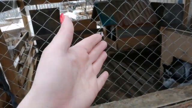 МНОГОДЕТНАЯ МАМА ДОМАШНИЕ ХОЗЯЙСТВА Нужна ваша помощь.