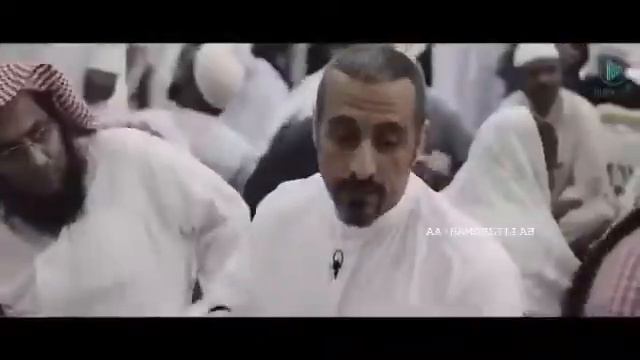 Медина . Обзор Медины ❤️