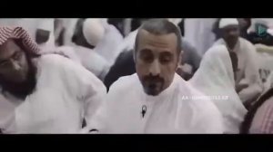 Медина . Обзор Медины ❤️