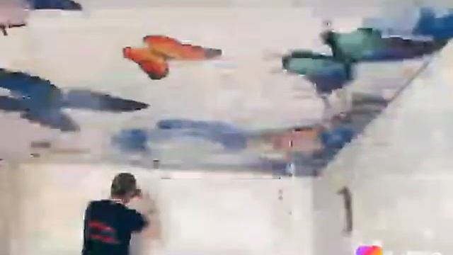 Установка натяжного потолка с фото печатью смотреть онлайн