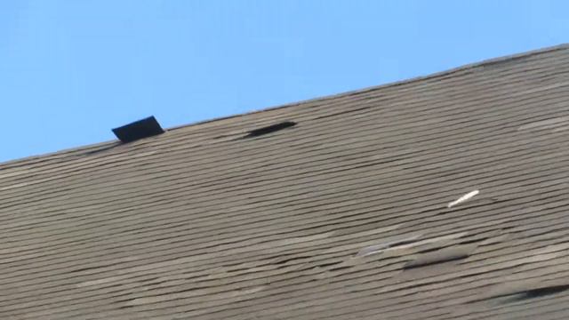 Mark Perez 630 878-5559 Damaging Winds смотреть онлайн