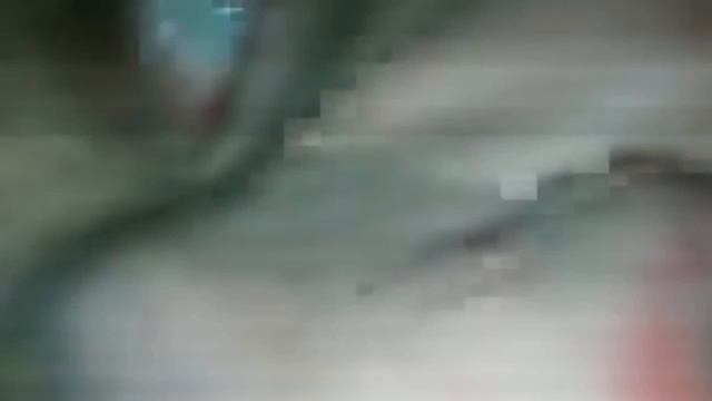 Как на меня напал рейк))) смотреть онлайн