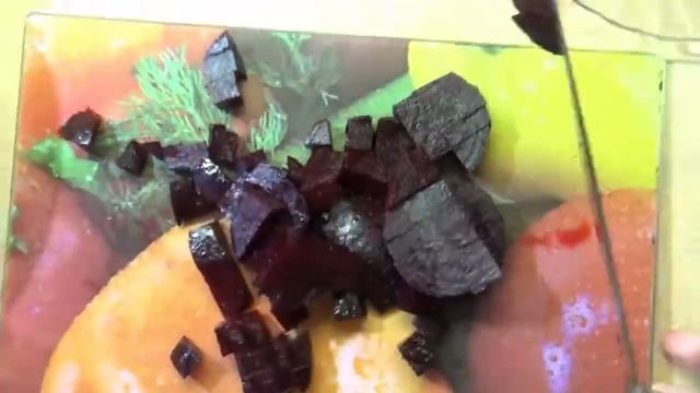 Обучение Игре на Инструменте