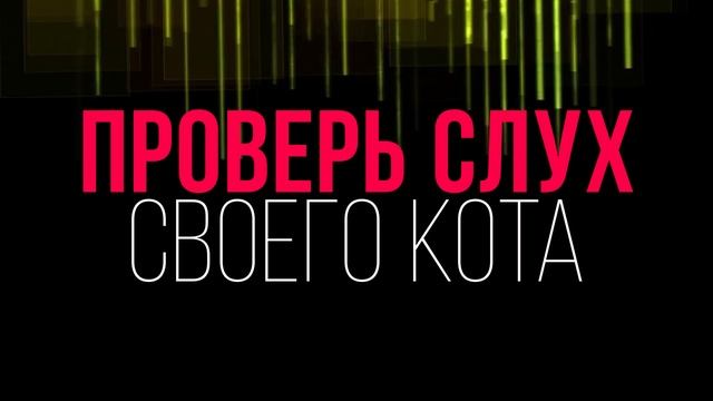 Ультразвук . Звук для кошек и собак. Раздражающие звуки смотреть онлайн