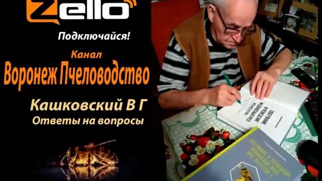 Кашковский В Г 09 06 2021г канал Воронеж Пчеловодство, интернет рация Zello. смотреть онлайн