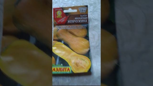 Тыква. Мускатная. Жемчужина. Сорт. смотреть онлайн
