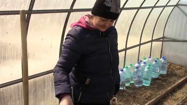 Наша дача. Кипяток и смородина.