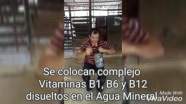 Día #13 Fractura de metatarso principal. Hidratación co. Agua Mineral Sin Gas #TecnicaRodriguera смотреть онлайн