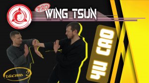 Продвинутый Уровень! ВИН ЧУН • ЧИ САО Липкие Руки с применением • Часть 2