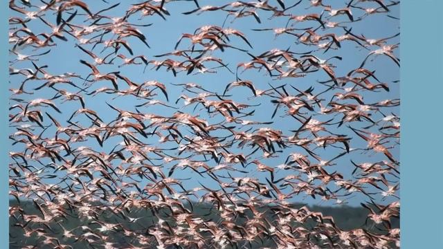 23 июня смотреть онлайн