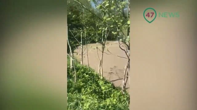 47news: Загрязнение на реке Хревица