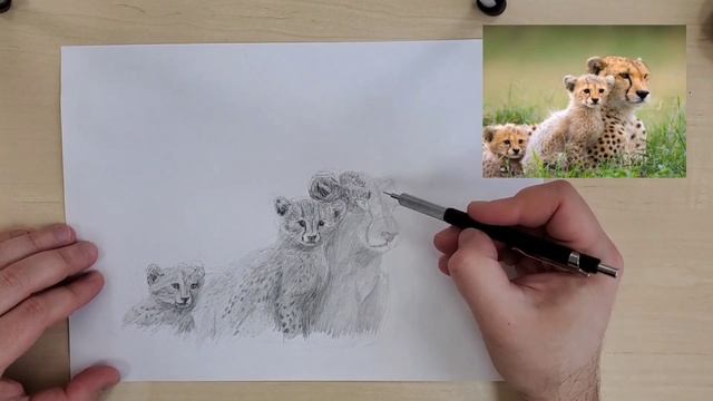 Рисуем Гепарда. часть2 детализация рисунка и фон смотреть онлайн