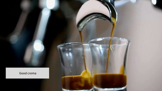 Double Group Corrima Coffee Machine 4200W 50hz Automatic 550ML смотреть онлайн