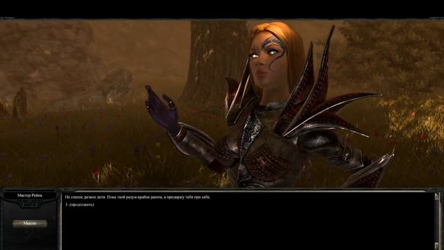 О чём был Divinity II Developer's Cut смотреть онлайн