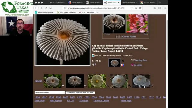 Merriwether's World! #28 - Plant Identification Websites смотреть онлайн