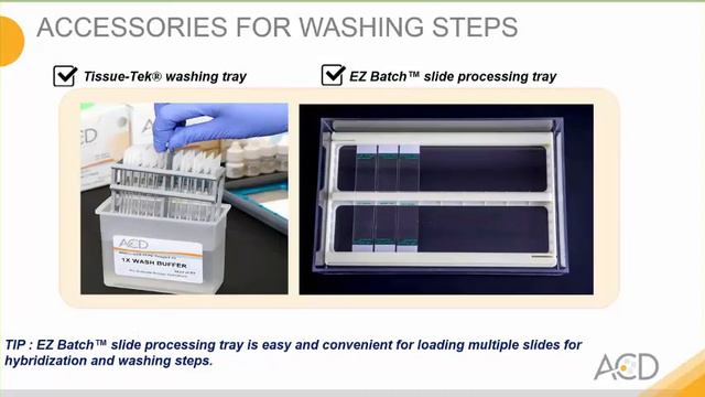 Tips, Tricks & Troubleshooting to Get Publication Quality RNA ISH Data смотреть онлайн