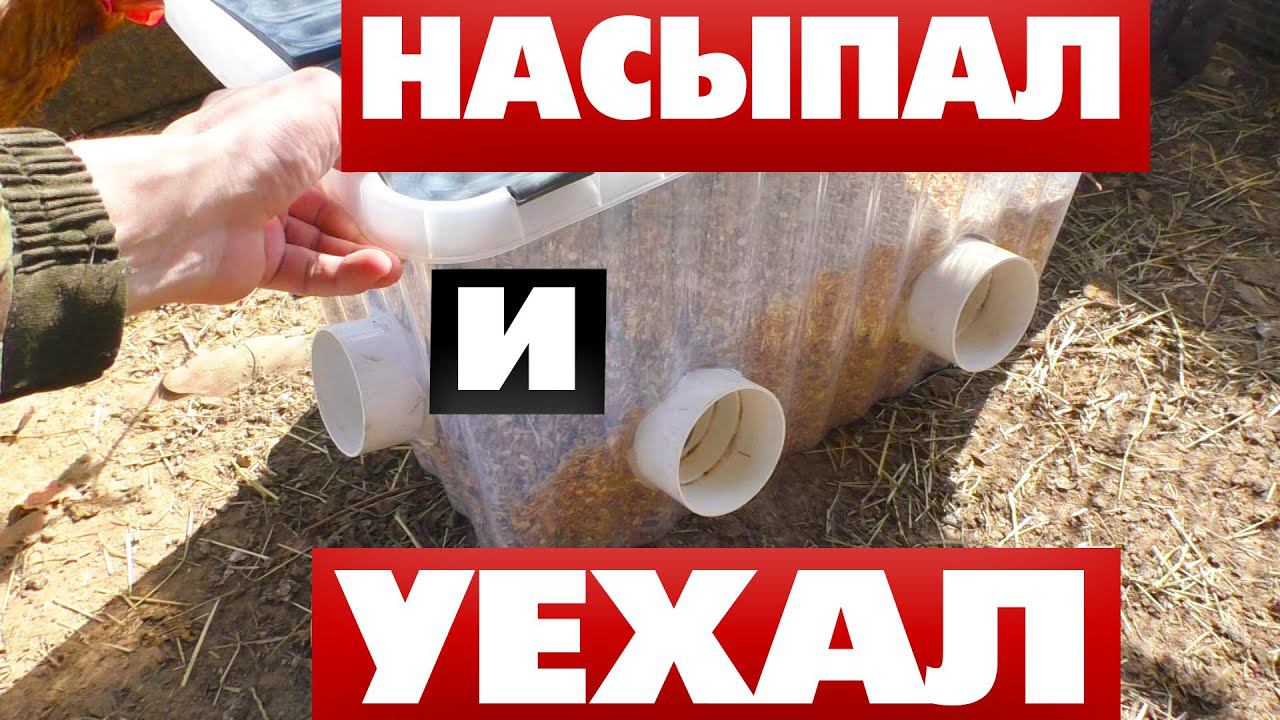 Кормушка для кур на даче В курятник для ленивых смотреть онлайн