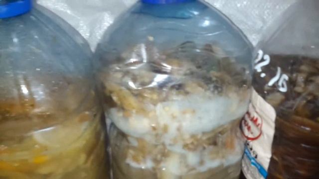 Энзимы. смотреть онлайн