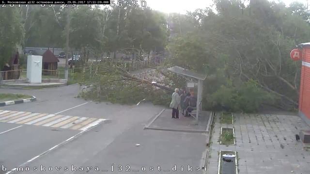 Последствия урагана Б. Московская д132 остановка дикси смотреть онлайн