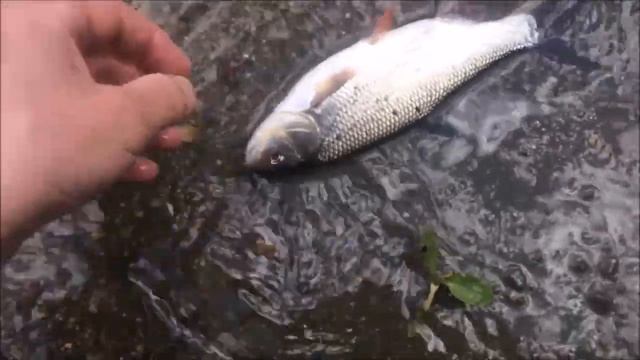Street fishing / р.Исеть / Екатеринбург смотреть онлайн