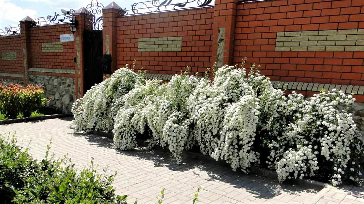 ?Прекрасные идеи дизайна и украшения придомовой территории / Country House Design Ideas / A - Video