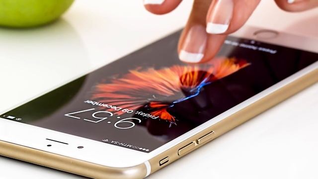 Драгоценный подарок от ворона СПАС девушку от беды