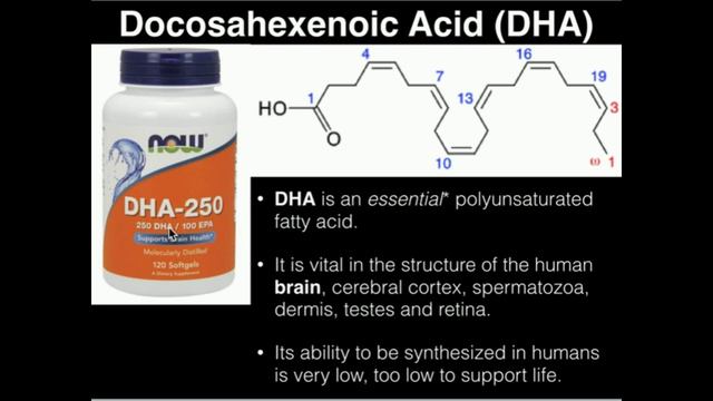 PUFAs: Polyunsaturated Fatty Acid Metabolism (DHA, EPA, AA) смотреть онлайн