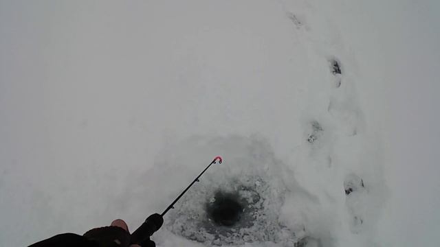 Рыбалка на ратлины и балансиры в глухозимье смотреть онлайн