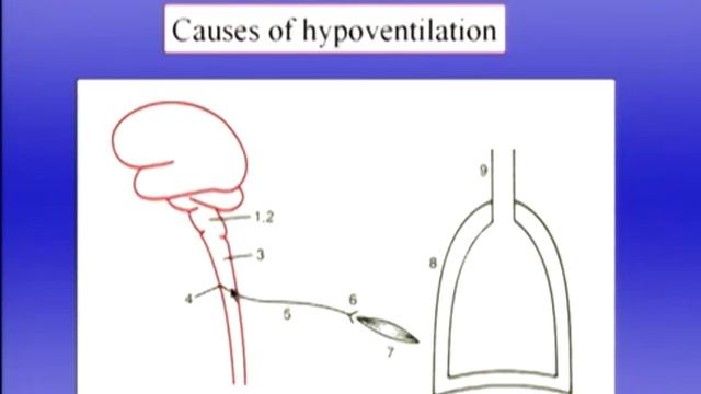 Pulmonary Function Test