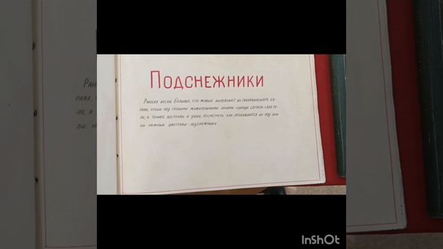 Жидеев Дмитрий, Лазарева Виктория - Феднин В.И. смотреть онлайн