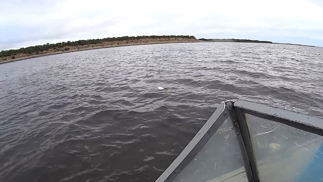 Рыбалка на семгу и сига. Salmon fishing. Ловля рыбы сетями. смотреть онлайн