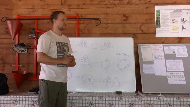 Курс «Зоология беспозвоночных», лекция 2, ЛЭШ-2018 смотреть онлайн