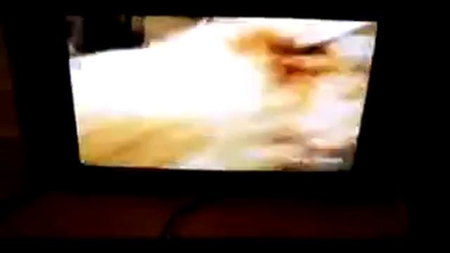 17''SAMSUNG 730MW TV& RADIO LCD смотреть онлайн