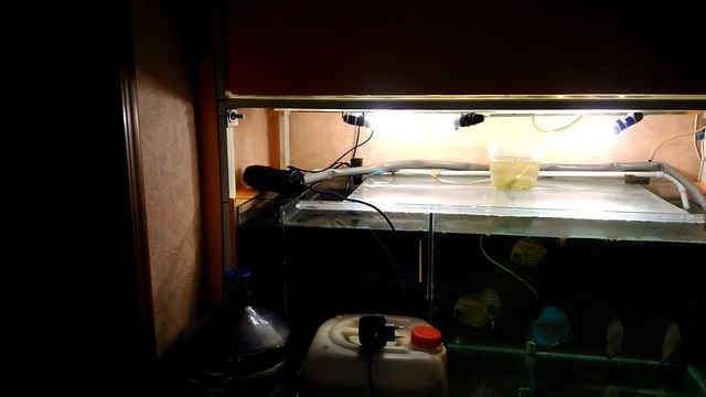 #УФ-лампа(#стерилизатор) Зачем она нужна в #аквариуме Установка в аквариум Часть #1 смотреть онлайн