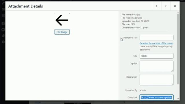 How to Add Forward and Back Arrow Button in WordPress Website | Lunar Computer College смотреть онлайн
