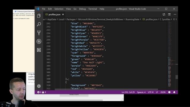 The New Windows Terminal ROCKS! Let's customize it! смотреть онлайн