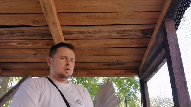 СПАСАЮ ГОЛУБЕЙ. СМОТРЕТЬ ДО КОНЦА. Помощь . 4149609015236864.приват. смотреть онлайн