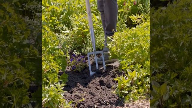 The Field Shef смотреть онлайн