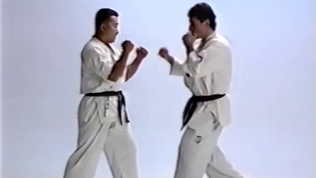 Andy Hug Mestre, #Andyhug #Seidokaikan #kyokushinkai #Karate #k1 #Kickboxing #Boxer #ArtesMarcias