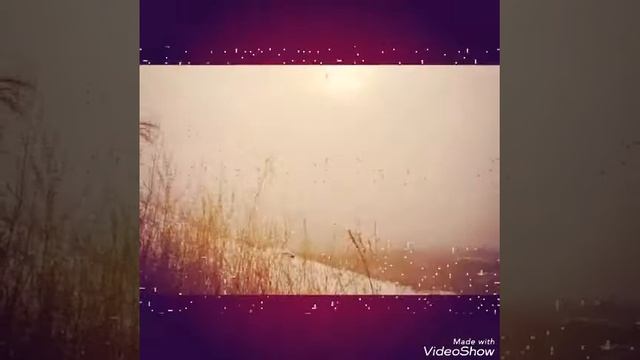 Красивый лес++ смотреть онлайн