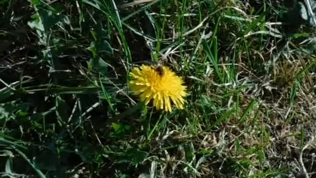 fujifilm finepix xp130 смотреть онлайн