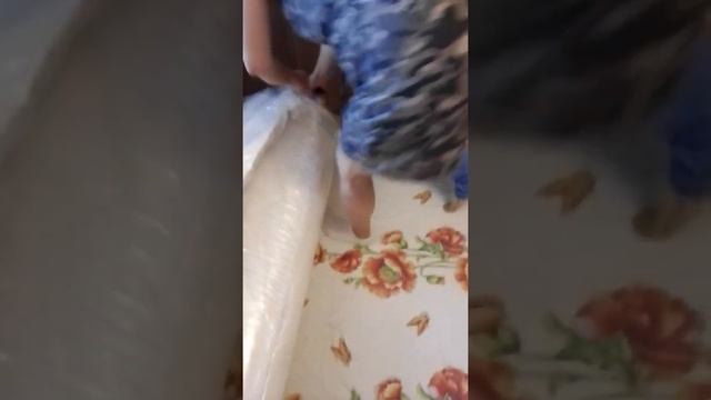 Отзыв о матрасе Lonax Скрученный Roll Relax plus 180*195 и магазине "Анатомия сна" смотреть онлайн