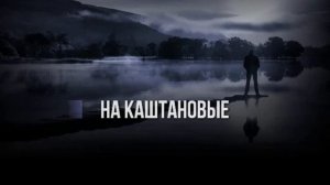 МИХАИЛ ШУФУТИНСКИЙ - ДУША БОЛИТ - КАРАОКЕ /+БЭК