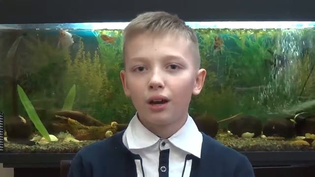 Иван Андреевич Крылов «Свинья под дубом» смотреть онлайн